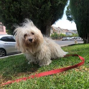 Meet your Posher, Jose